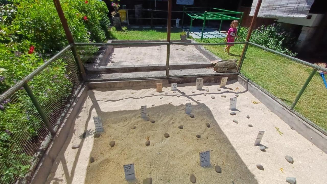 The Beach Bungalows & Turtle Sanctuary Pemuteran Exterior foto