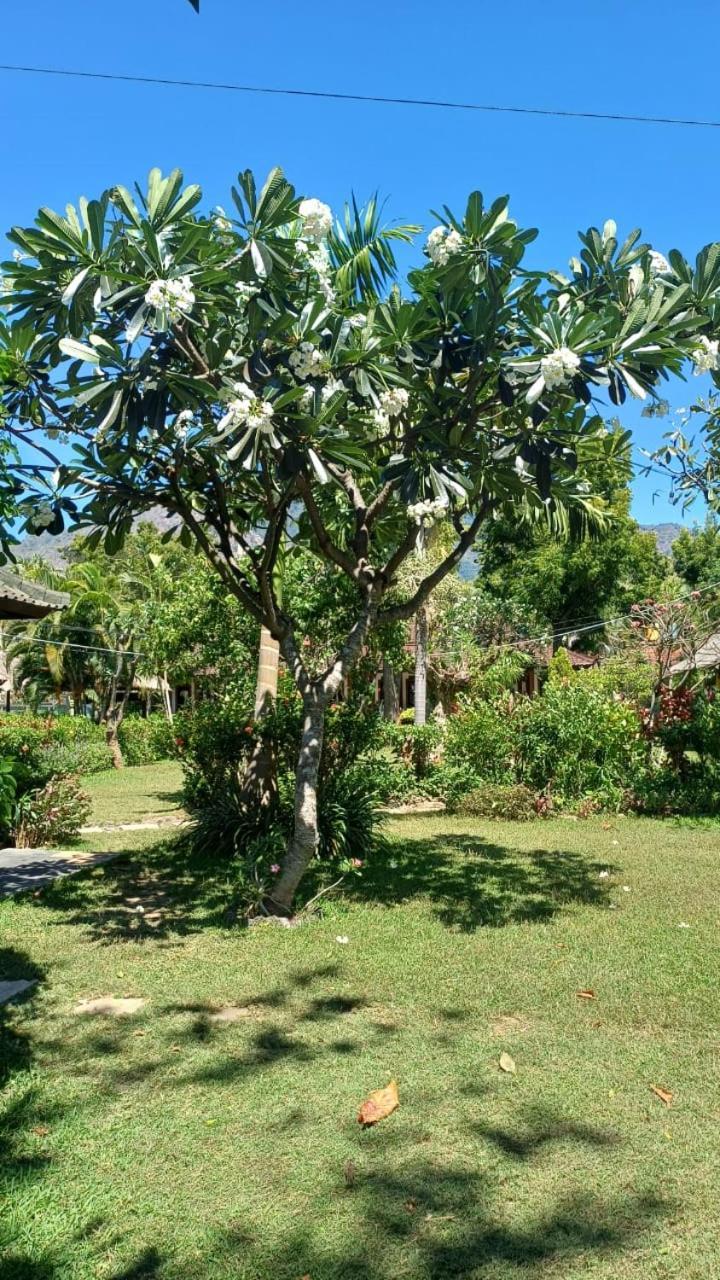 The Beach Bungalows & Turtle Sanctuary Pemuteran Exterior foto